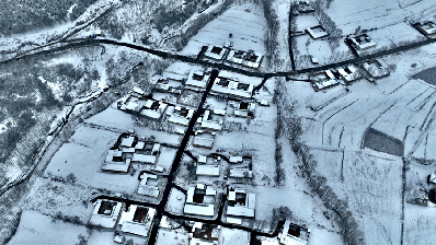 青海化?。恒y裝素裹 雪景如畫